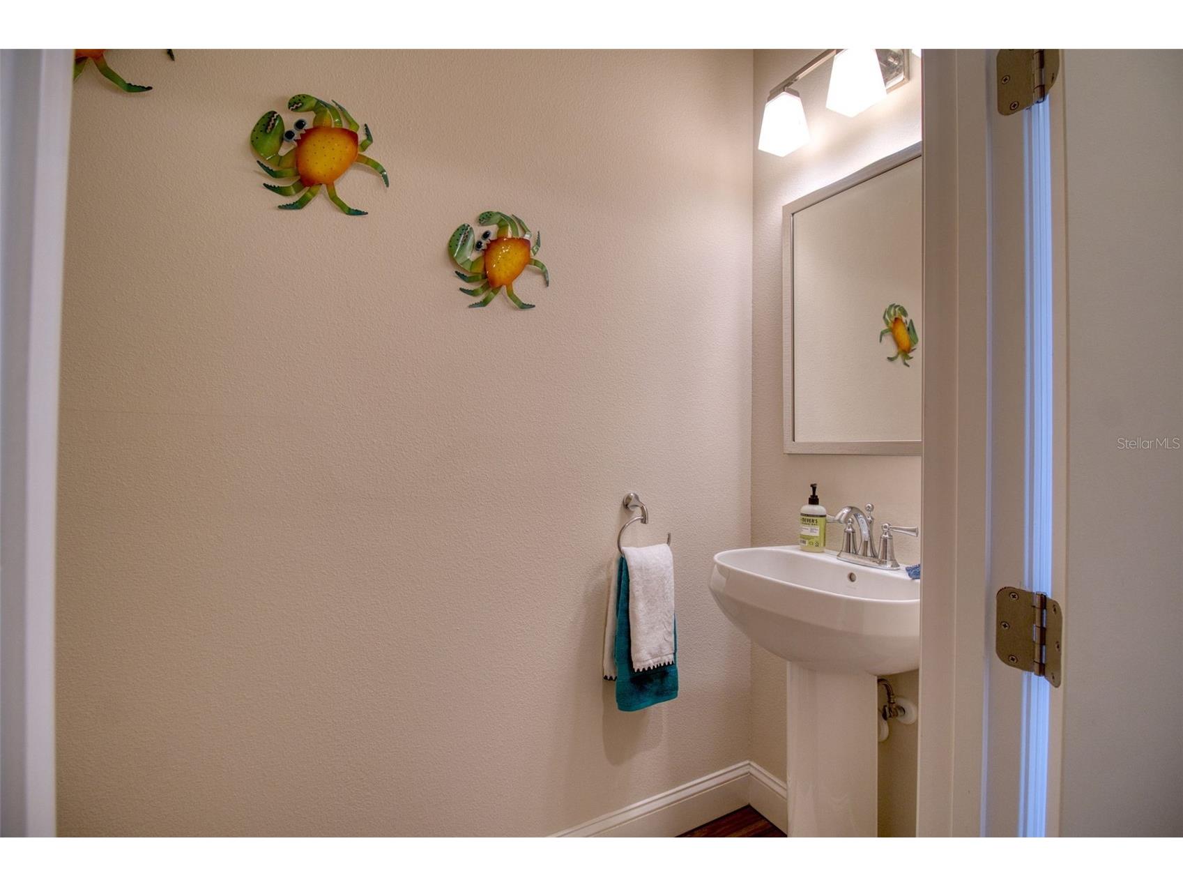 411 Birdsong Lane Dunedin FL 34698 TB8530931 image13