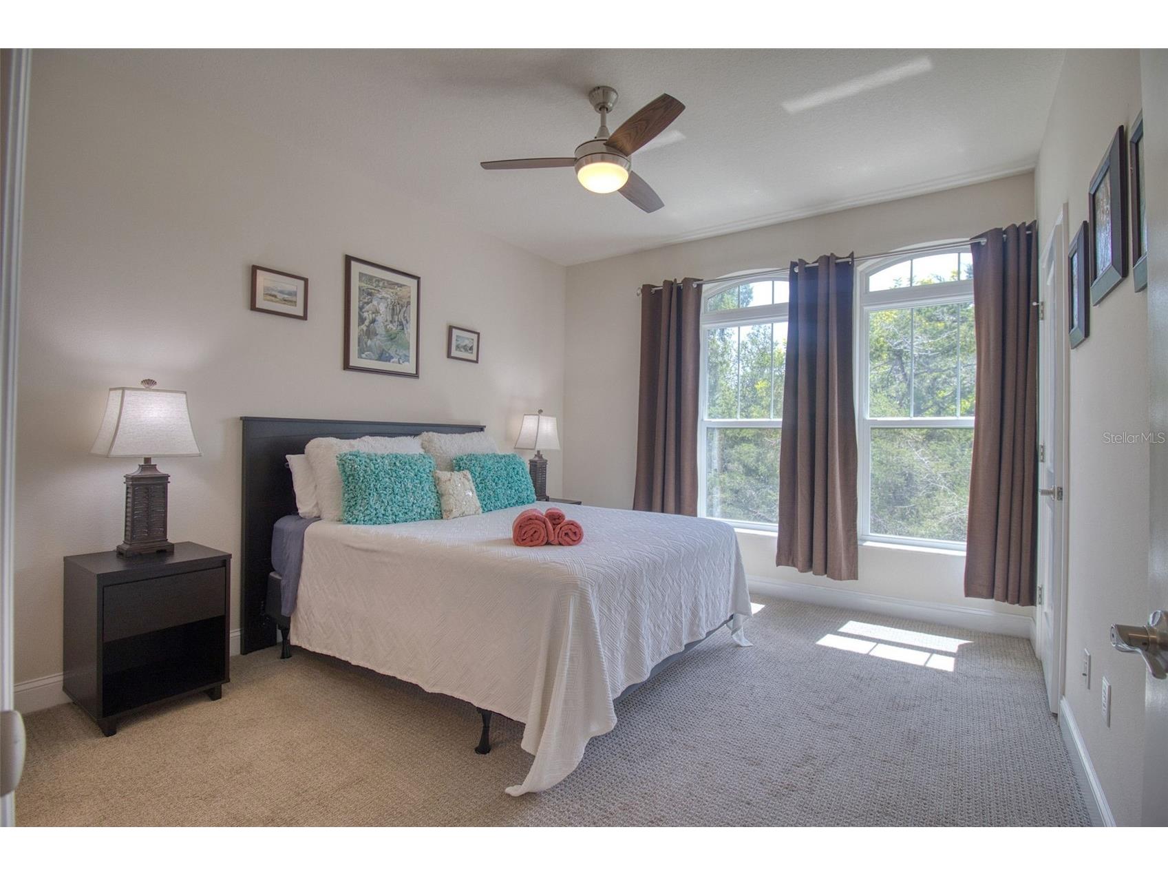 411 Birdsong Lane Dunedin FL 34698 TB8530931 image16