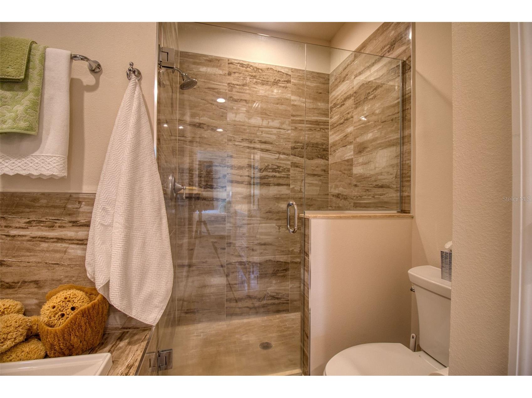 411 Birdsong Lane Dunedin FL 34698 TB8530931 image19