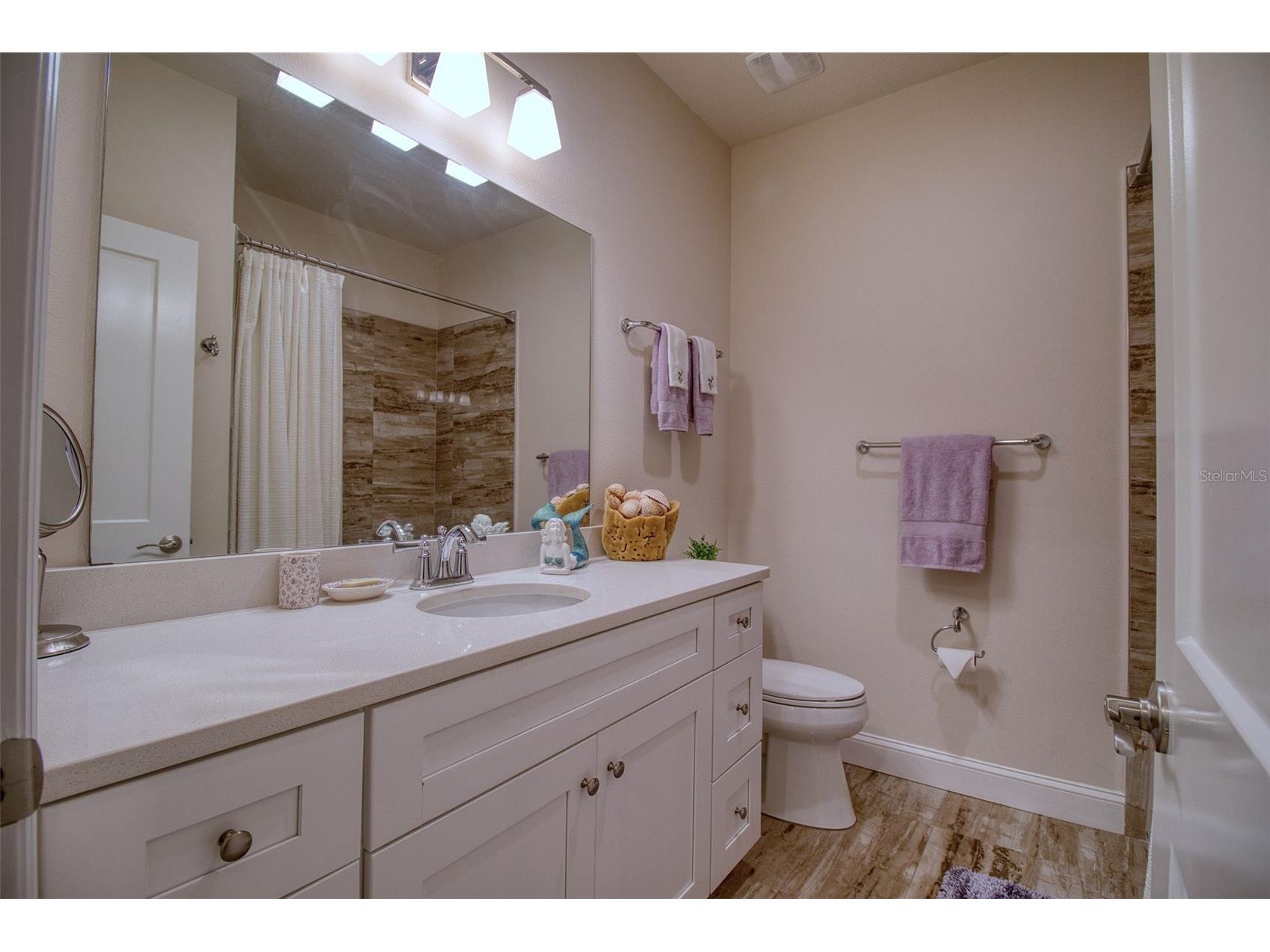 411 Birdsong Lane Dunedin FL 34698 TB8530931 image26