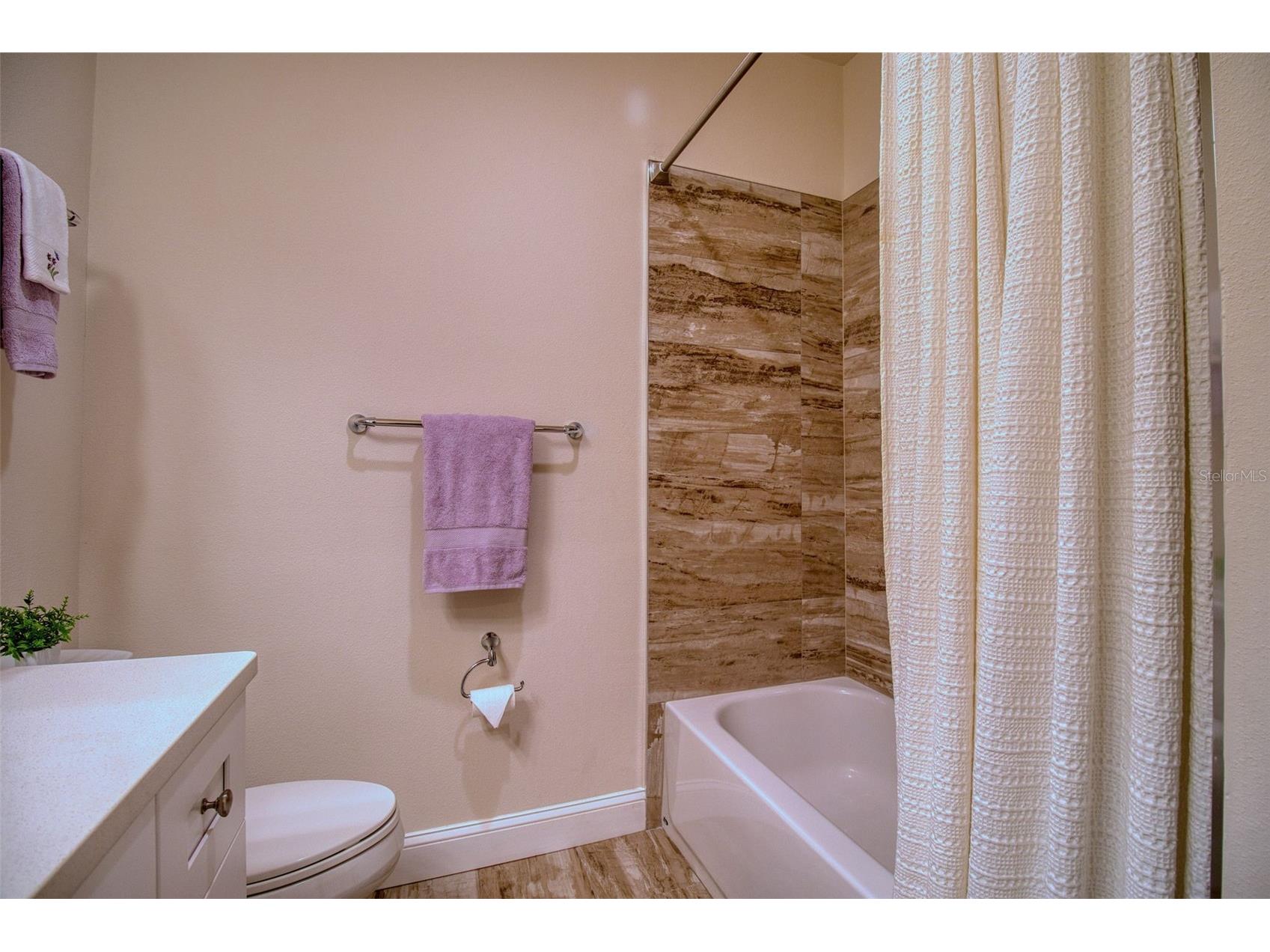 411 Birdsong Lane Dunedin FL 34698 TB8530931 image27