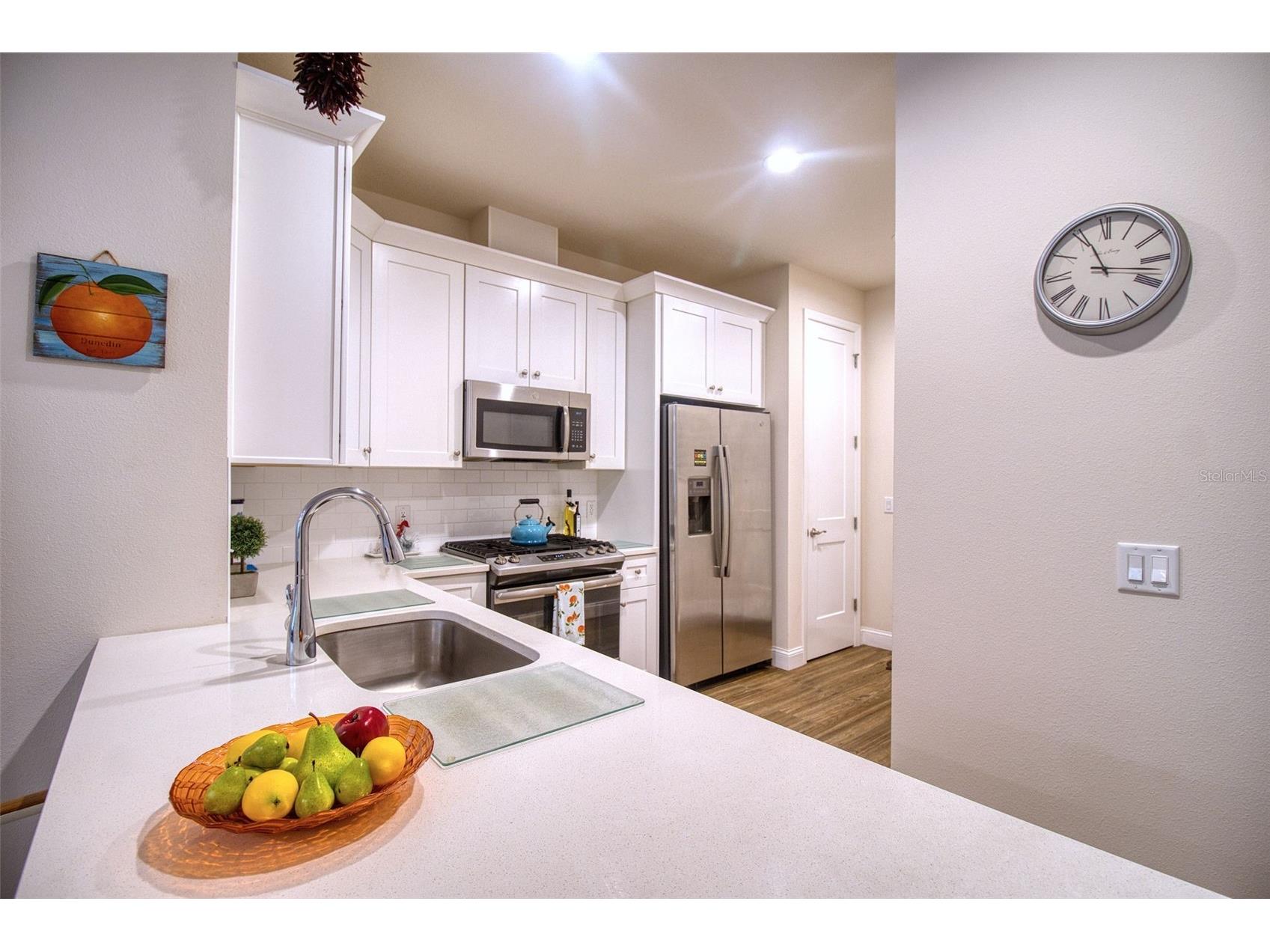 411 Birdsong Lane Dunedin FL 34698 TB8530931 image8