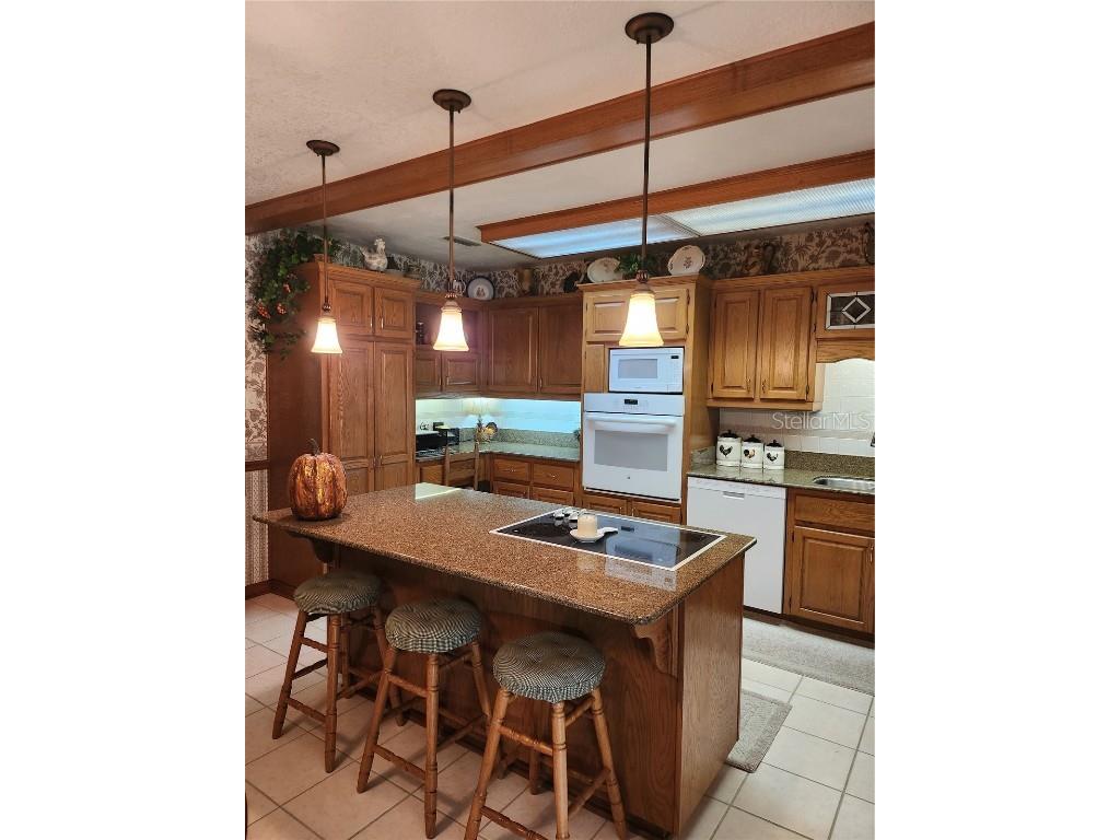 411 Bryan Road Brandon FL 33511 T3483072 image15