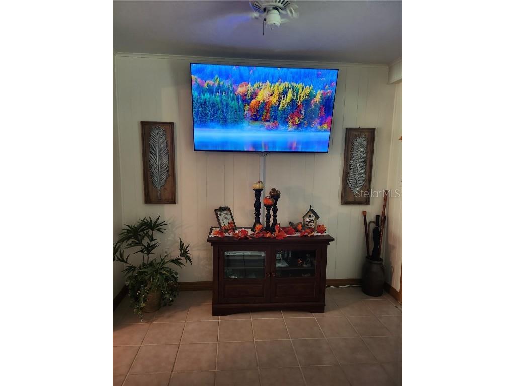 411 Bryan Road Brandon FL 33511 T3483072 image24