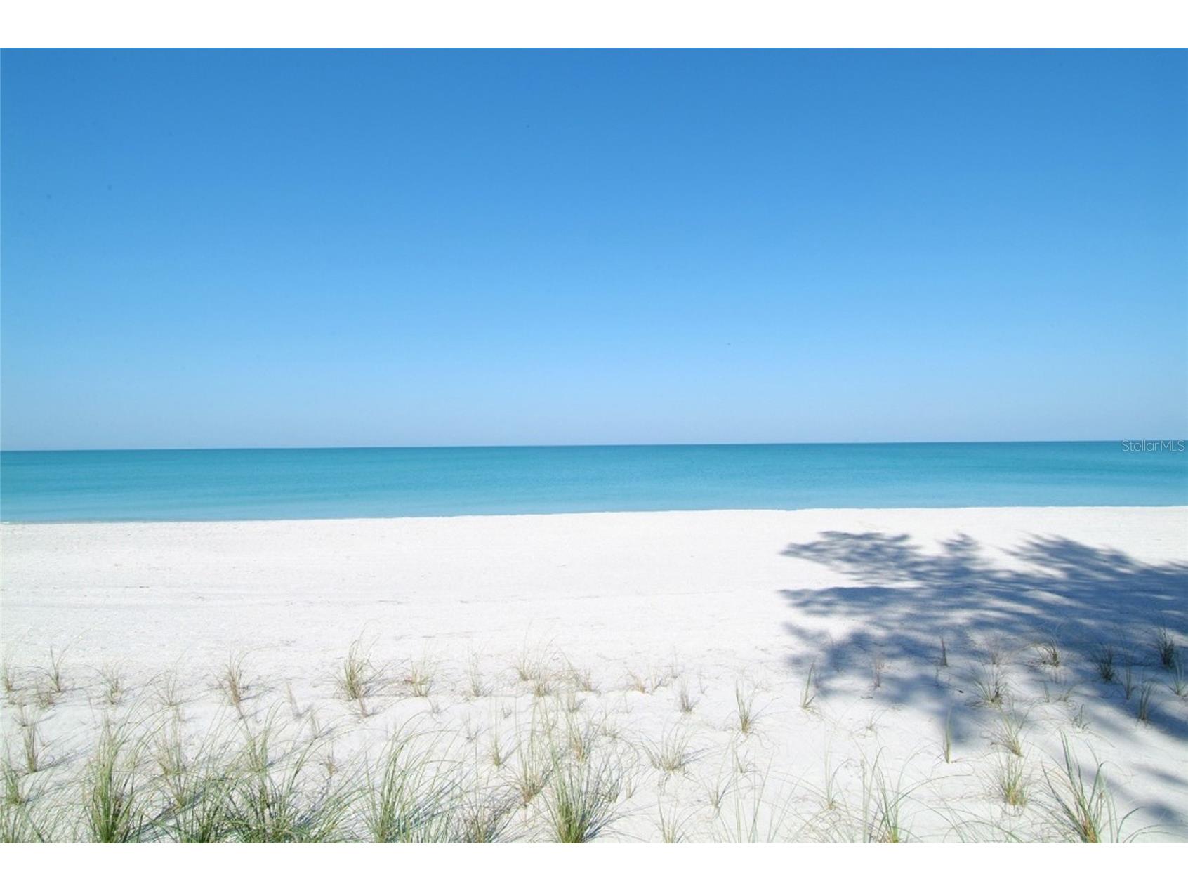 411 Burns Court Sarasota FL 34236 A4694679 image29