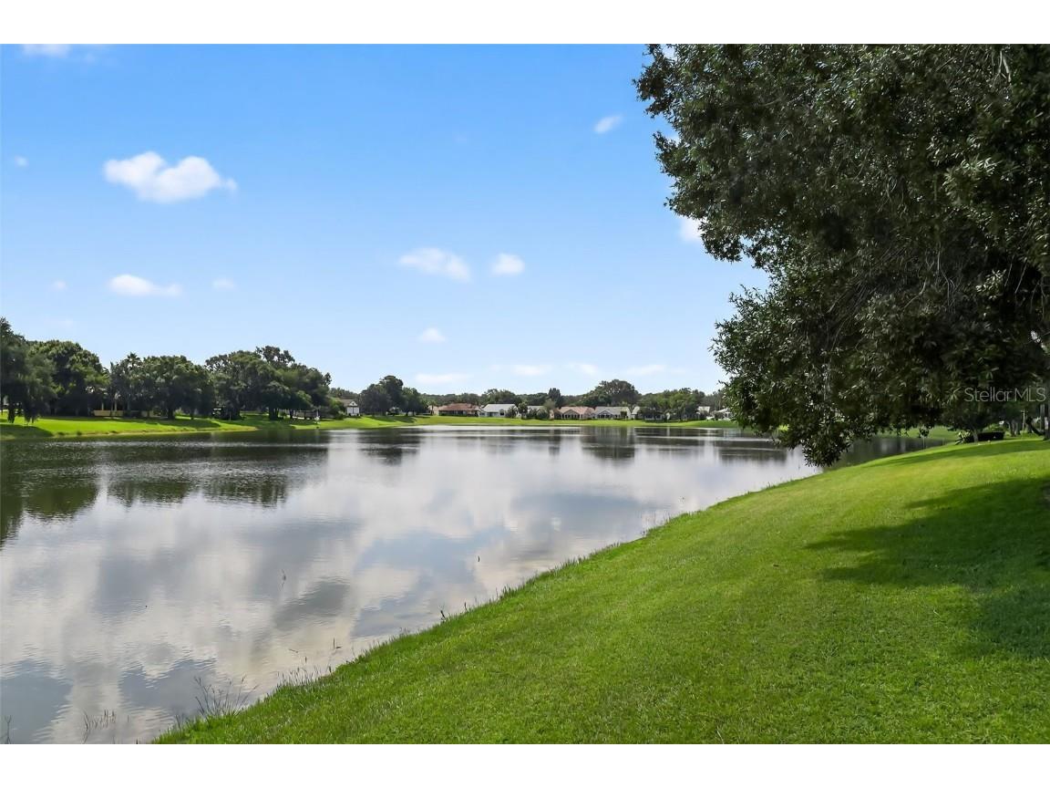 411 Del Mar Drive Lady Lake FL 32159 O6337392 image1