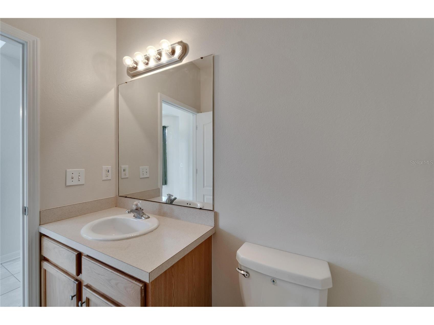 411 Durham Shore Court Apollo Beach FL 33572 TB8502861 image17