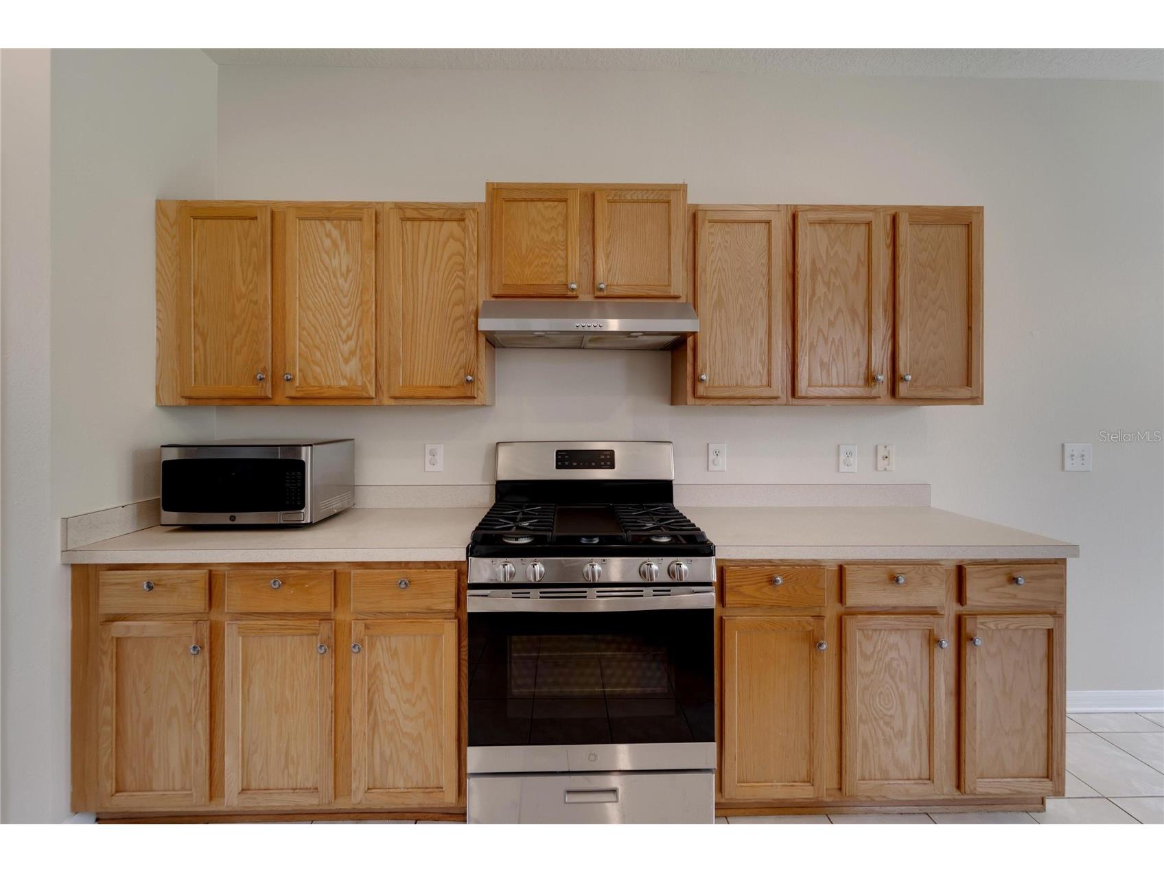 411 Durham Shore Court Apollo Beach FL 33572 TB8502861 image30