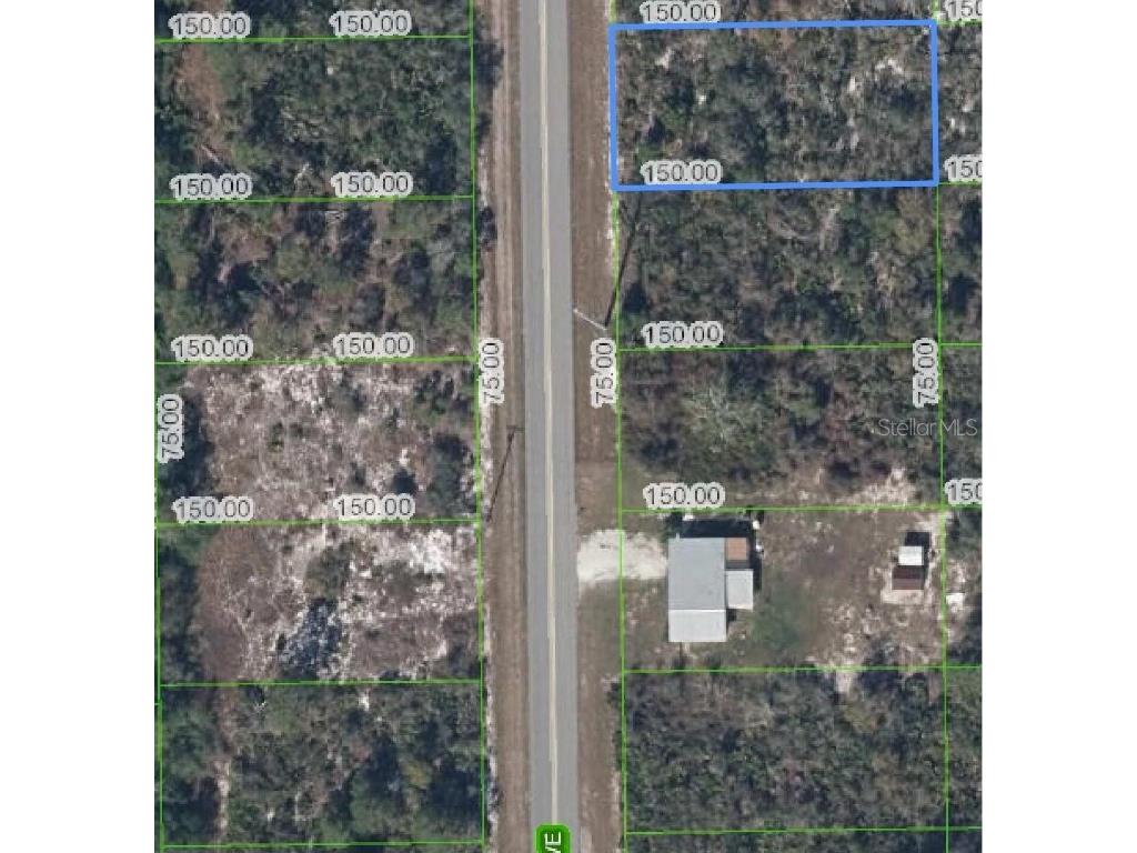 411 Hallmark Avenue Lake Placid FL 33852 O6247805 image1