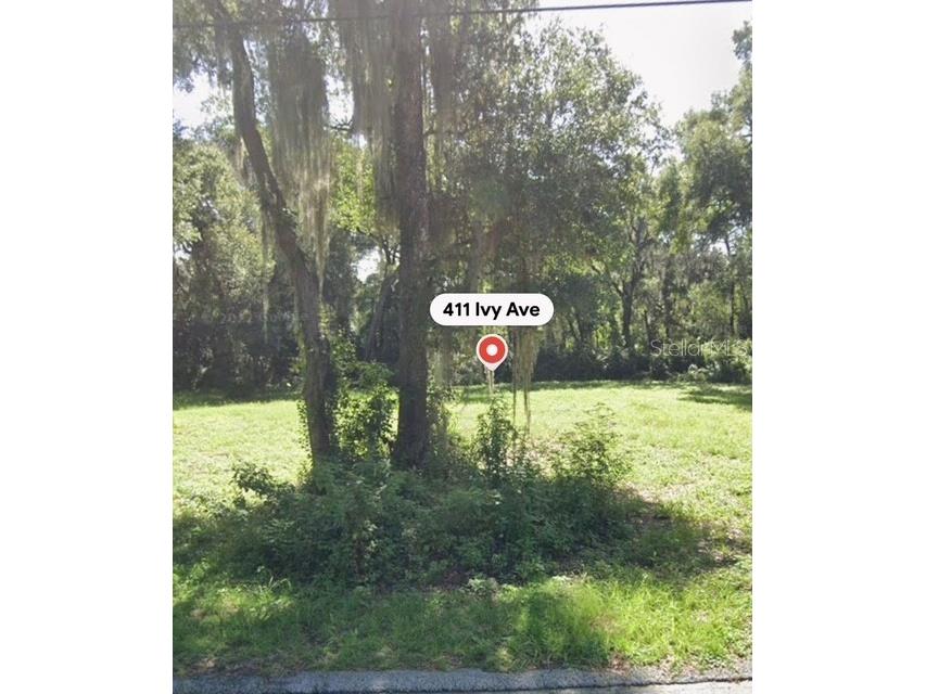 411 Ivy Avenue Deland FL 32724 V4949872 image1