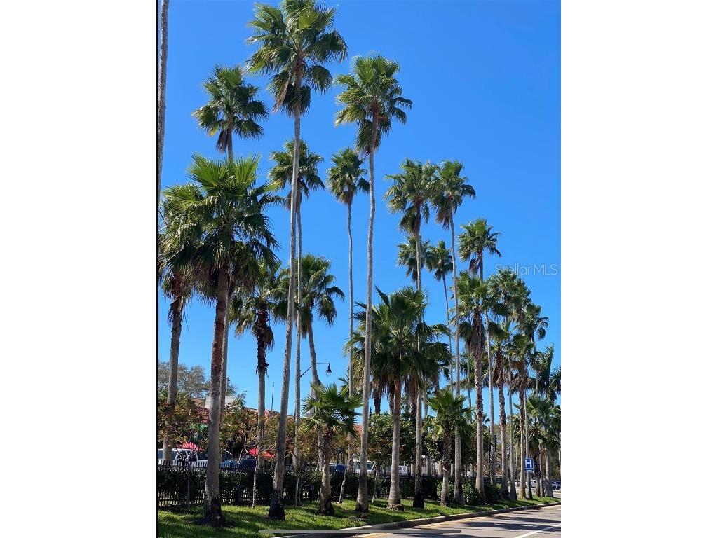 411 Lackland Street Port Charlotte FL 33953 A4626227 image9