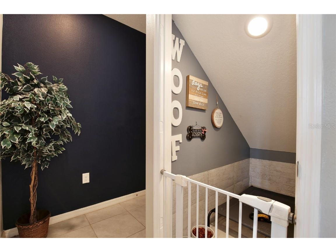 411 Lazio Circle Debary FL 32713 V4945839 image21