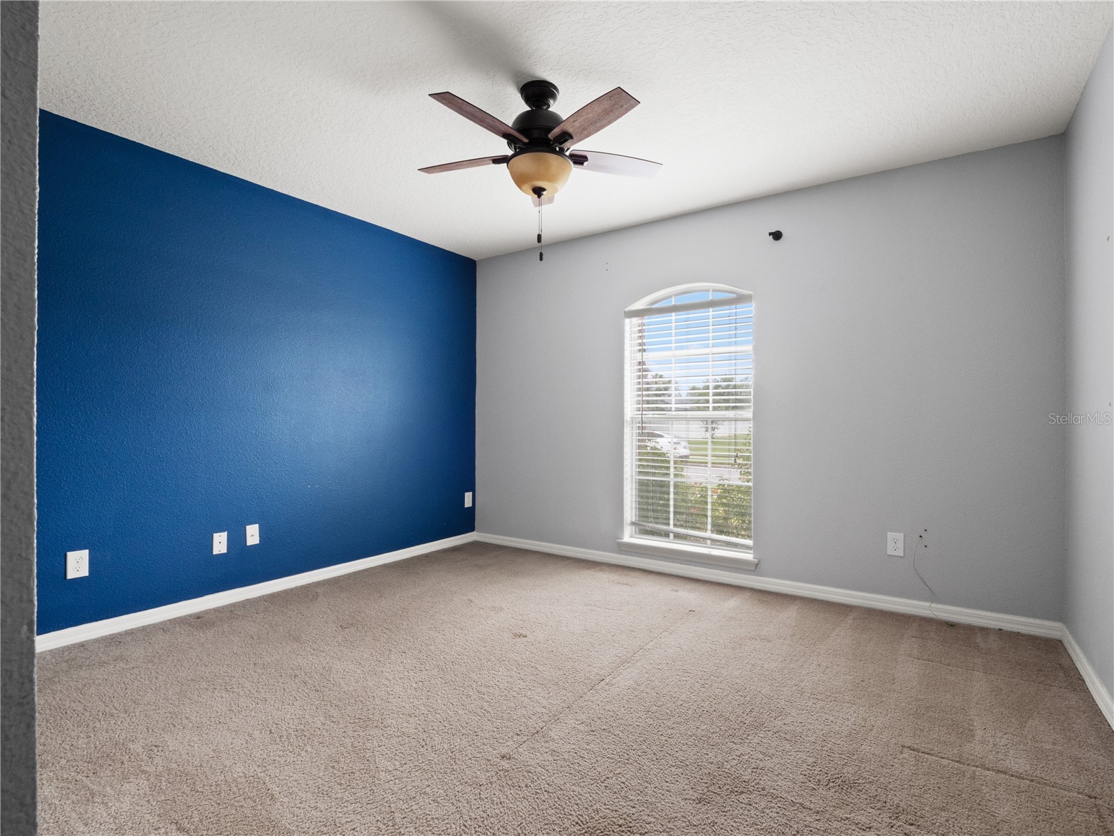 411 Millwood Place Winter Garden FL 34787 TB8518055 image13