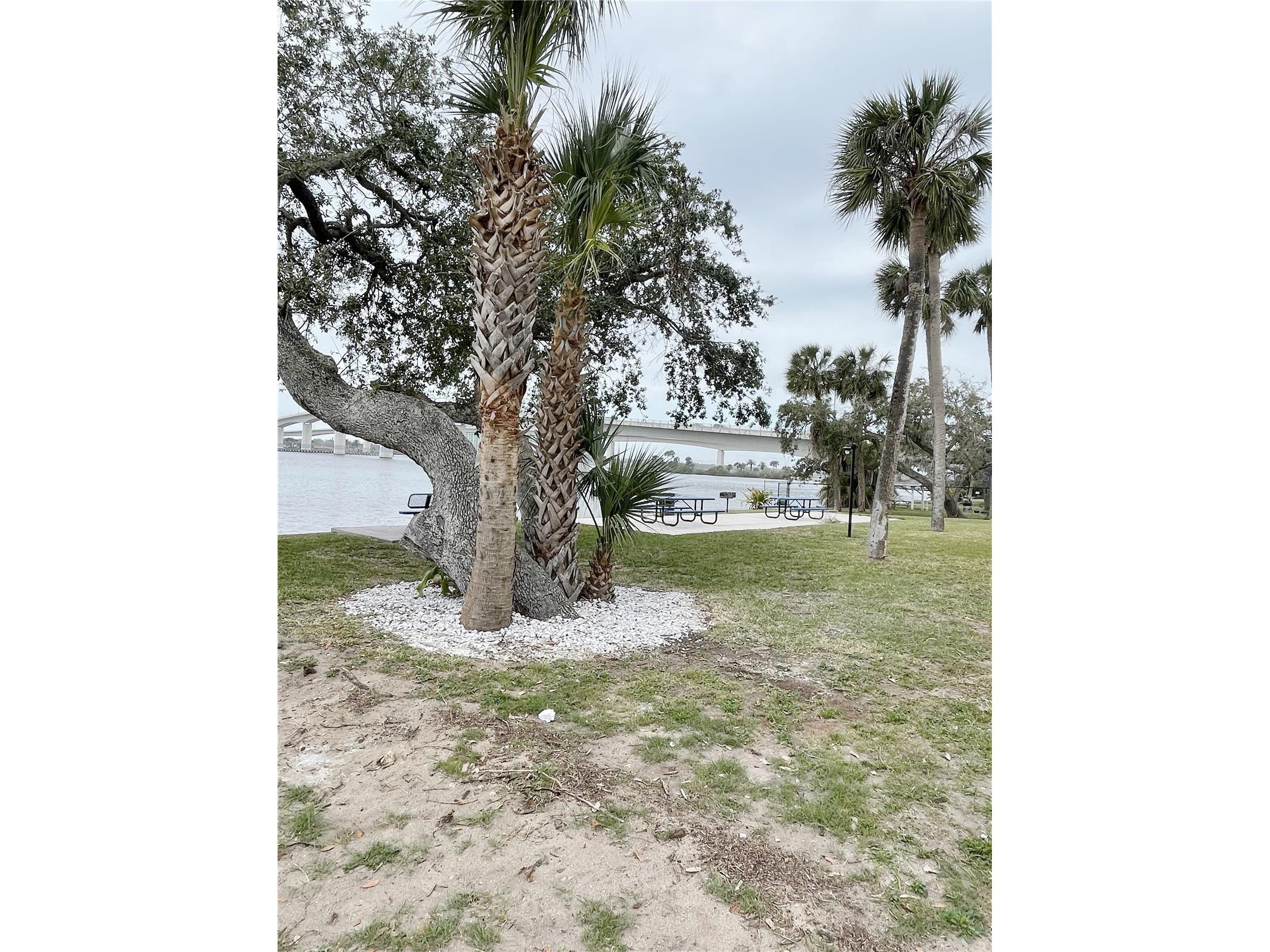 411 N Halifax Avenue #200 Daytona Beach FL 32118 O6389694 image6