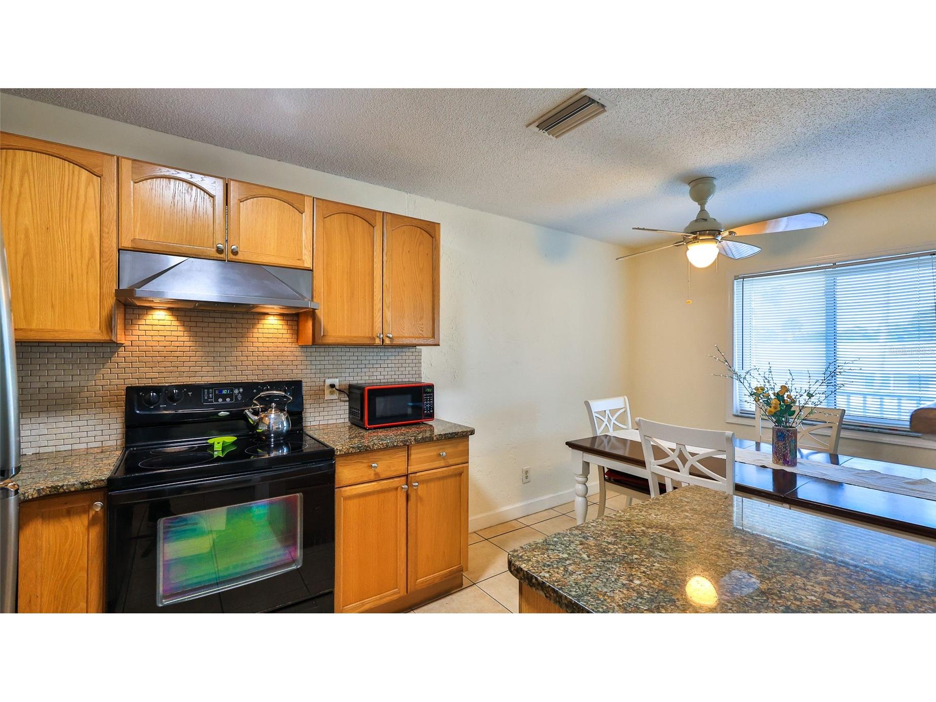 411 N Halifax Avenue #300 Daytona Beach FL 32118 - INTRACOASTAL WATERWAY V4947459 image8