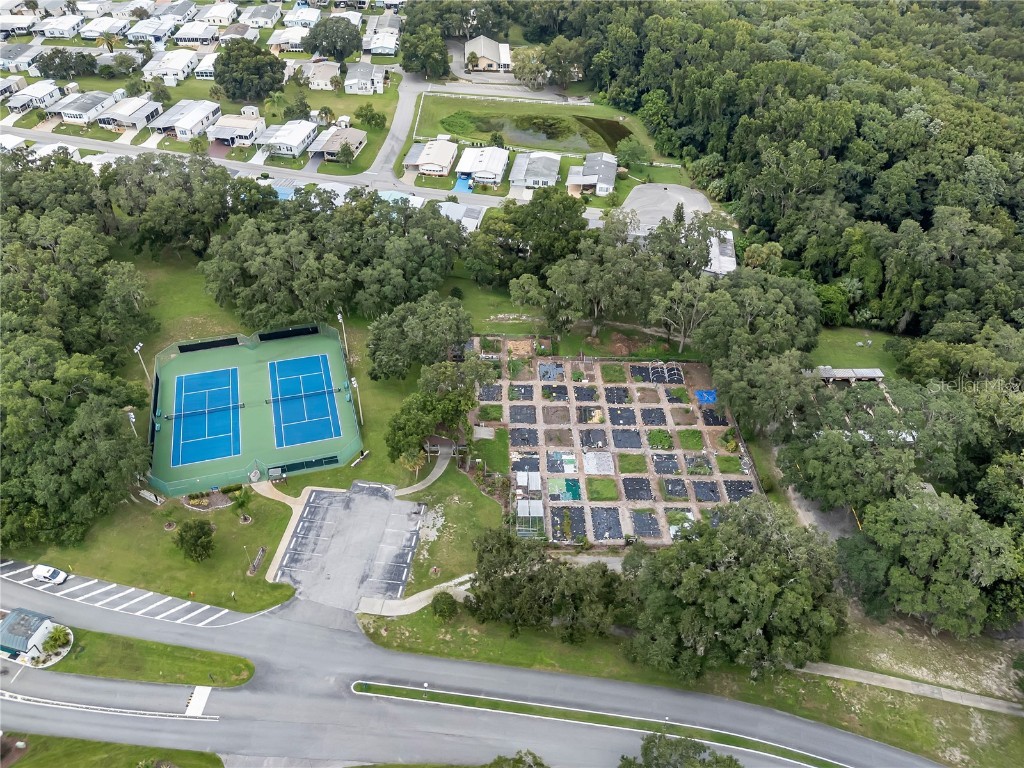 411 Palo Verde Drive Leesburg FL 34748 - LAKE HARRIS O6231287 image55