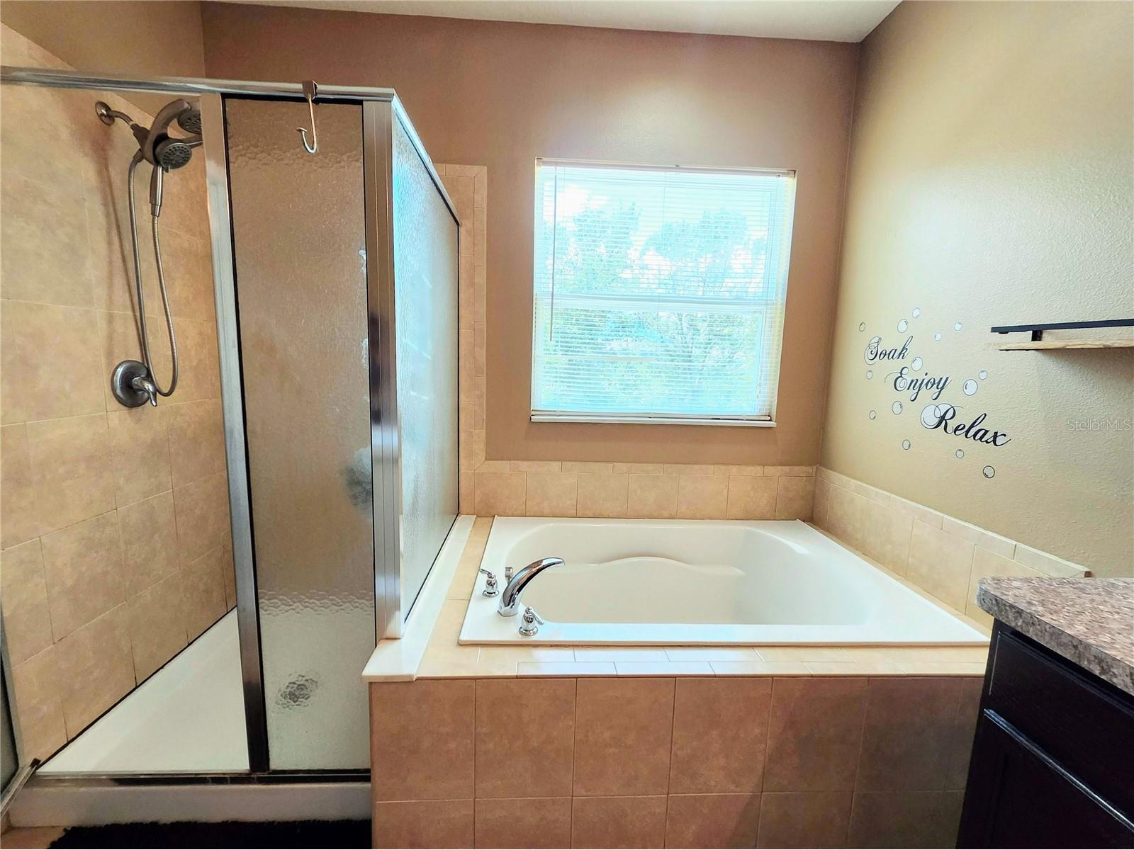 411 Rock Springs Circle Groveland FL 34736 TB8521730 image25
