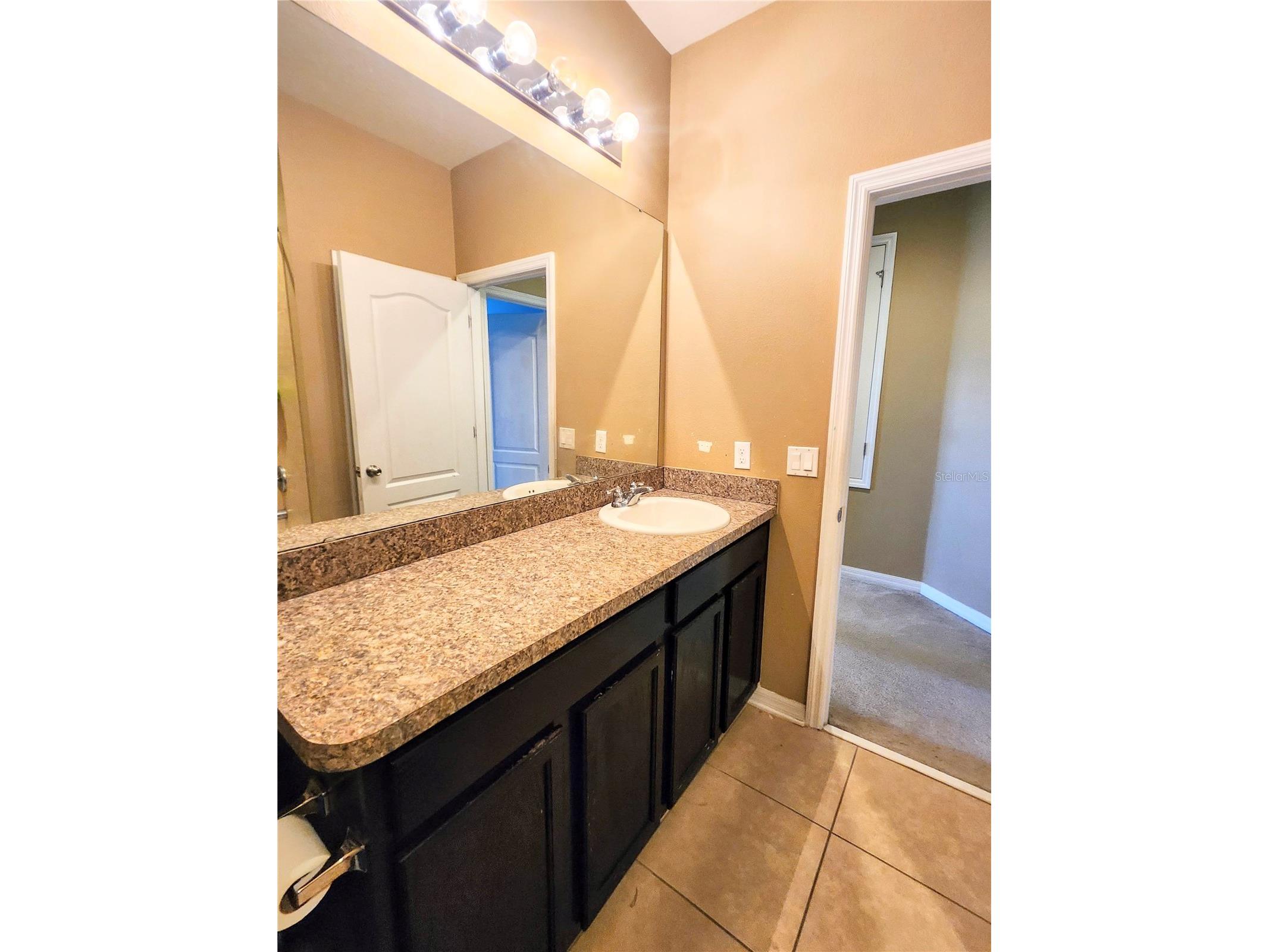 411 Rock Springs Circle Groveland FL 34736 TB8521730 image28