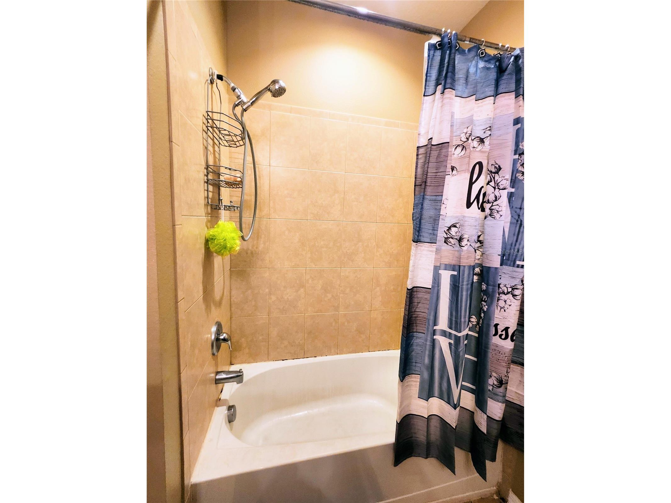 411 Rock Springs Circle Groveland FL 34736 TB8521730 image29