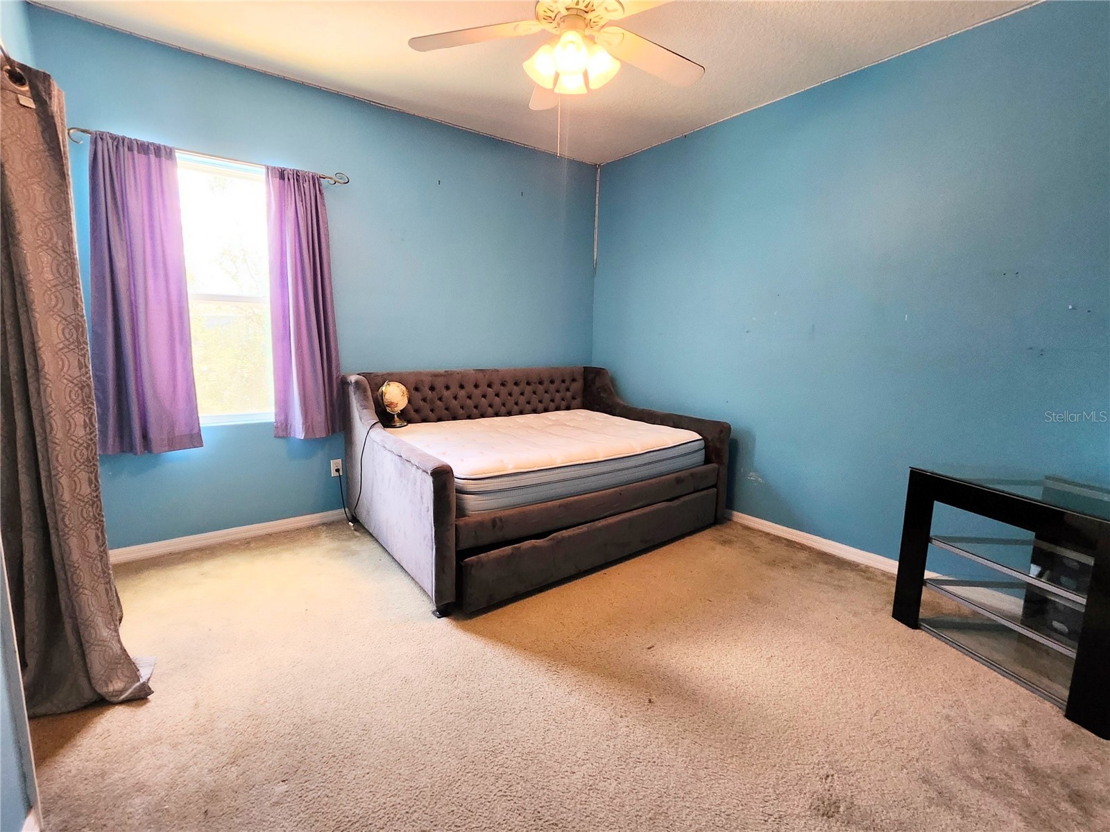 411 Rock Springs Circle Groveland FL 34736 TB8521730 image30