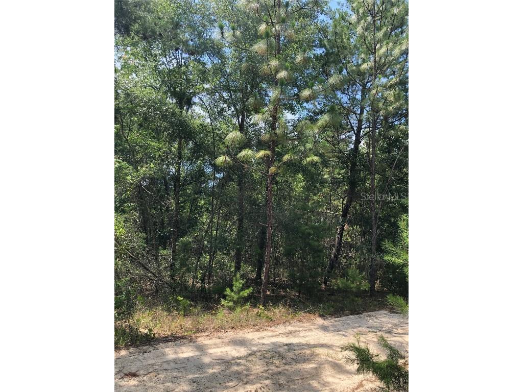 411 Rustic Road Satsuma FL 32189 FC291744 image1