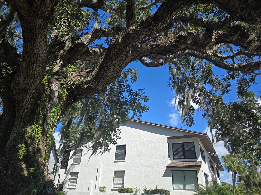 411 S Bayshore Boulevard #1 Safety Harbor FL 34695 - TAMPA BAY TB8437899 image2