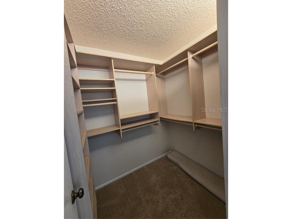 411 S Bayshore Boulevard #1 Safety Harbor FL 34695 - TAMPA BAY TB8437899 image21
