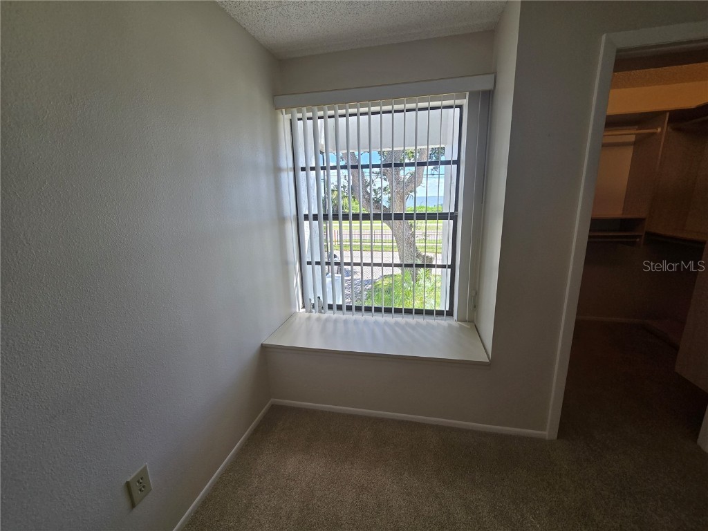 411 S Bayshore Boulevard #1 Safety Harbor FL 34695 - TAMPA BAY TB8437899 image22