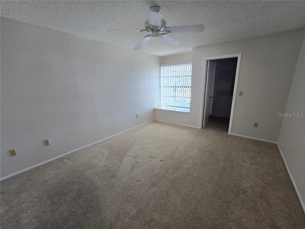 411 S Bayshore Boulevard #1 Safety Harbor FL 34695 - TAMPA BAY TB8437899 image24