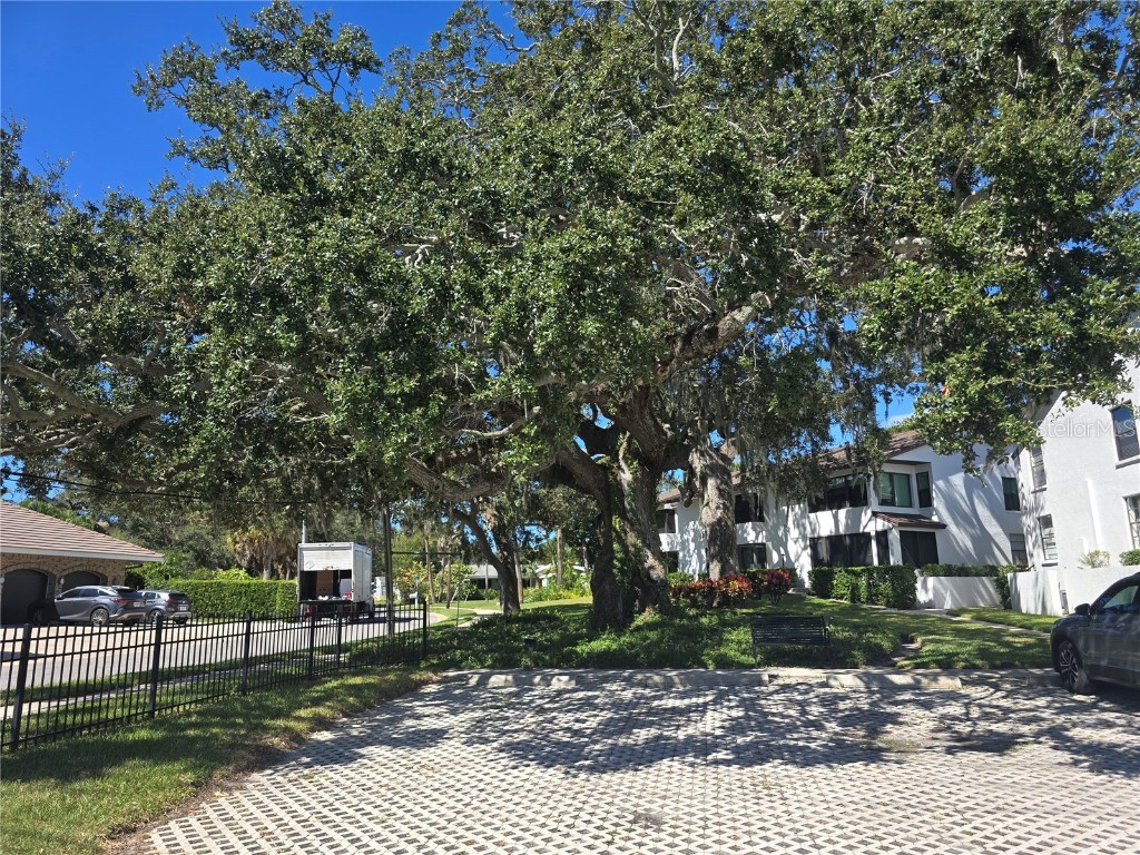 411 S Bayshore Boulevard #1 Safety Harbor FL 34695 - TAMPA BAY TB8437899 image28