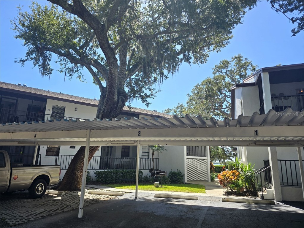 411 S Bayshore Boulevard #1 Safety Harbor FL 34695 - TAMPA BAY TB8437899 image3