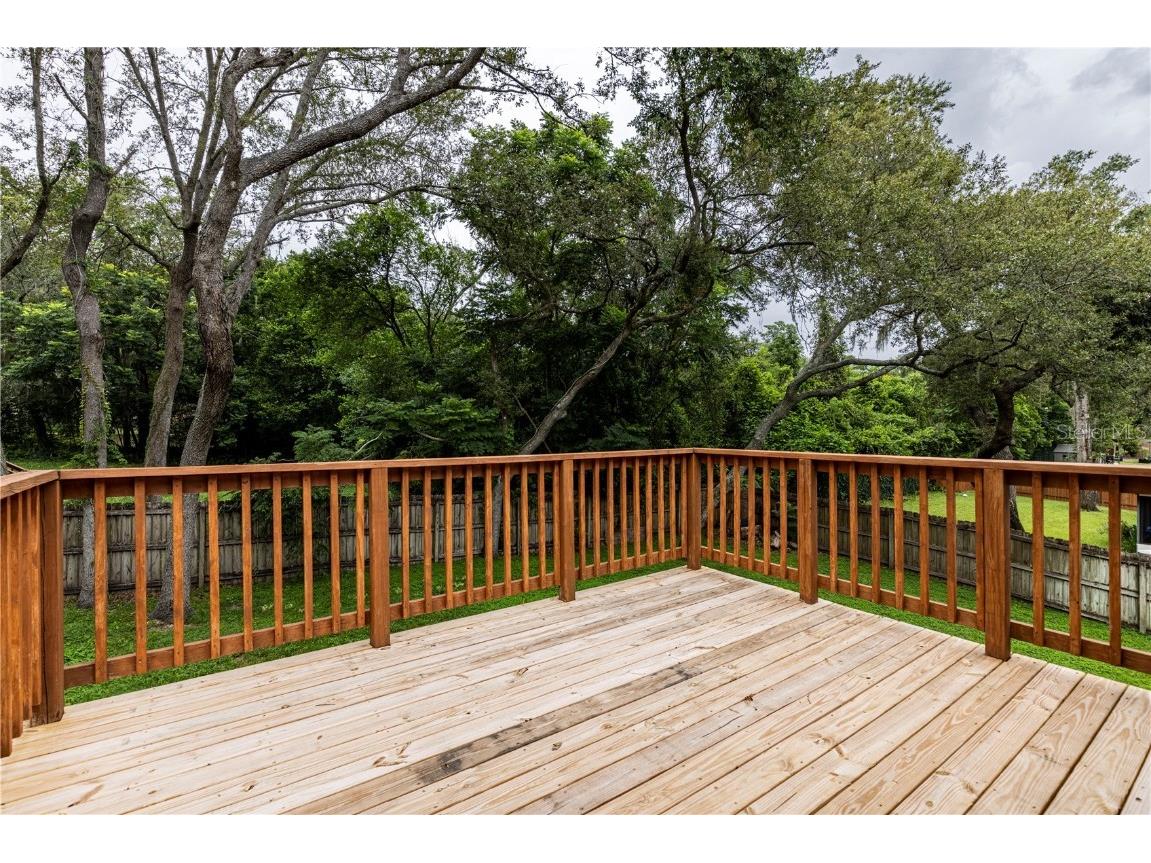 411 S Cobble Court Mount Dora FL 32757 G5099969 image17