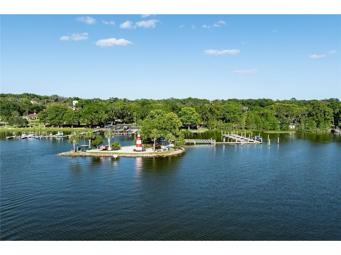 411 S Cobble Court Mount Dora FL 32757 G5099969 image35