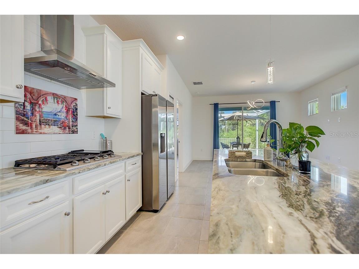 411 Sandsend Court Apollo Beach FL 33572 TB8450827 image16