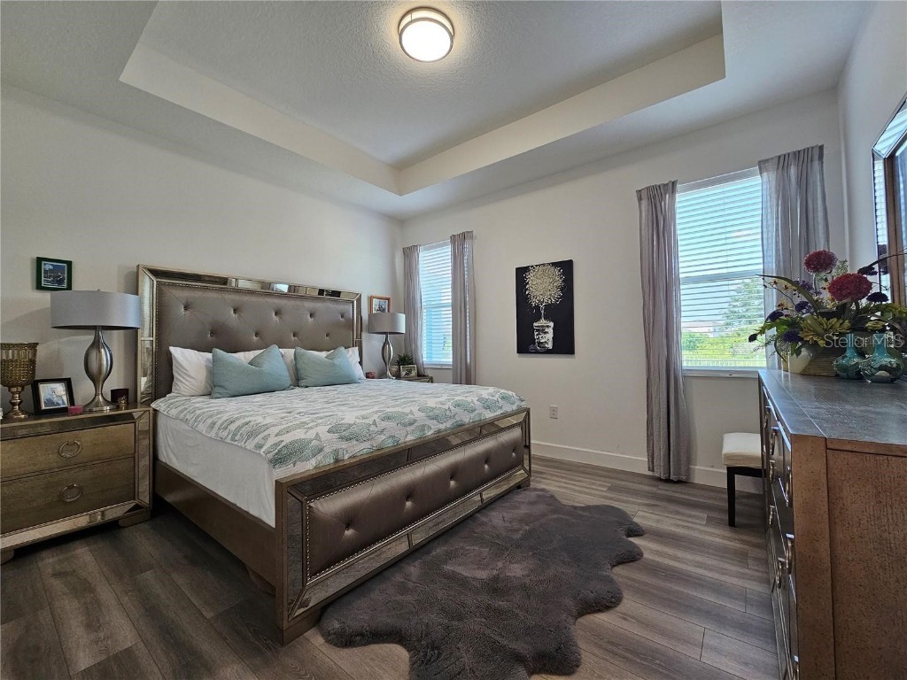 411 Sandsend Court Apollo Beach FL 33572 TB8450827 image29