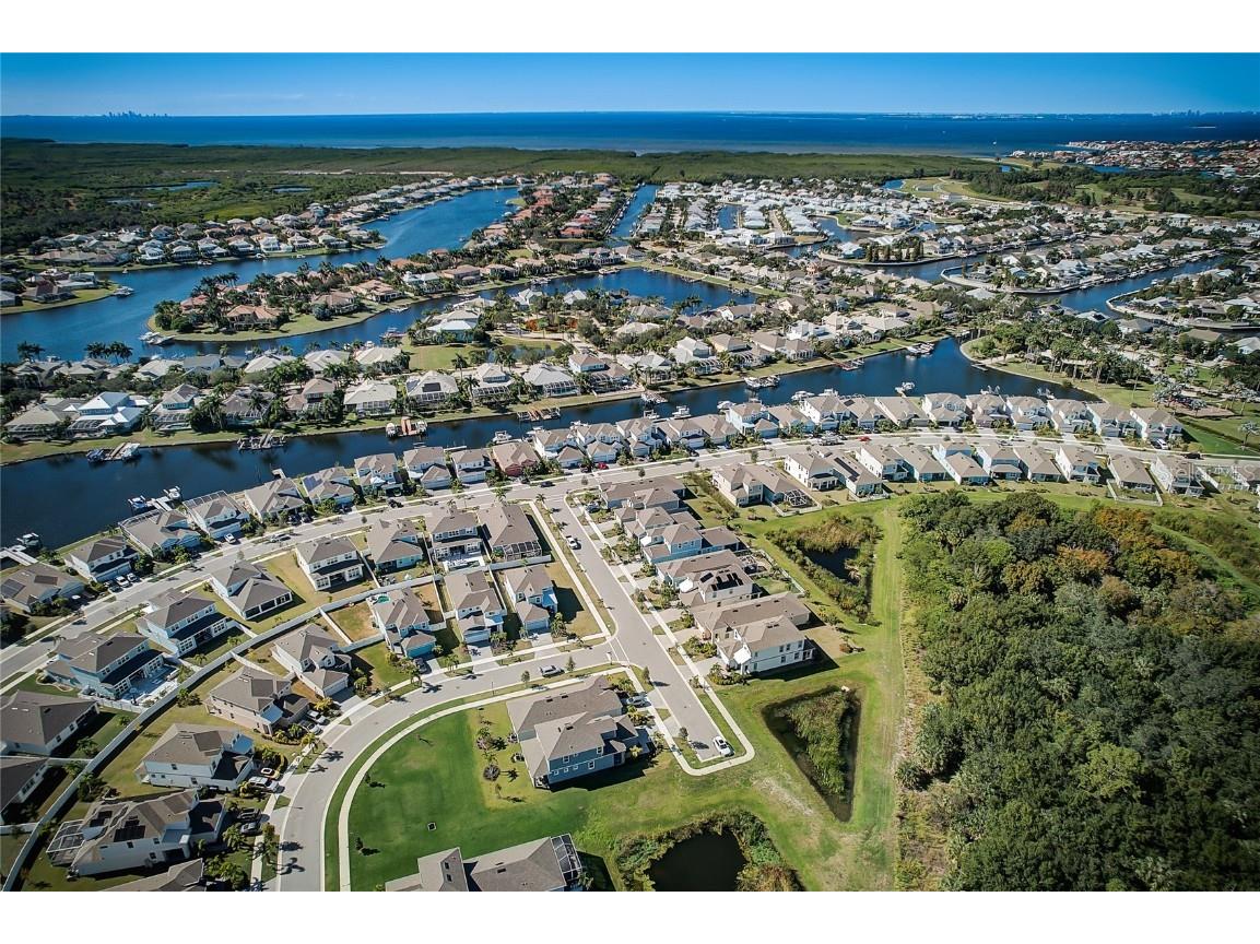 411 Sandsend Court Apollo Beach FL 33572 TB8450827 image61