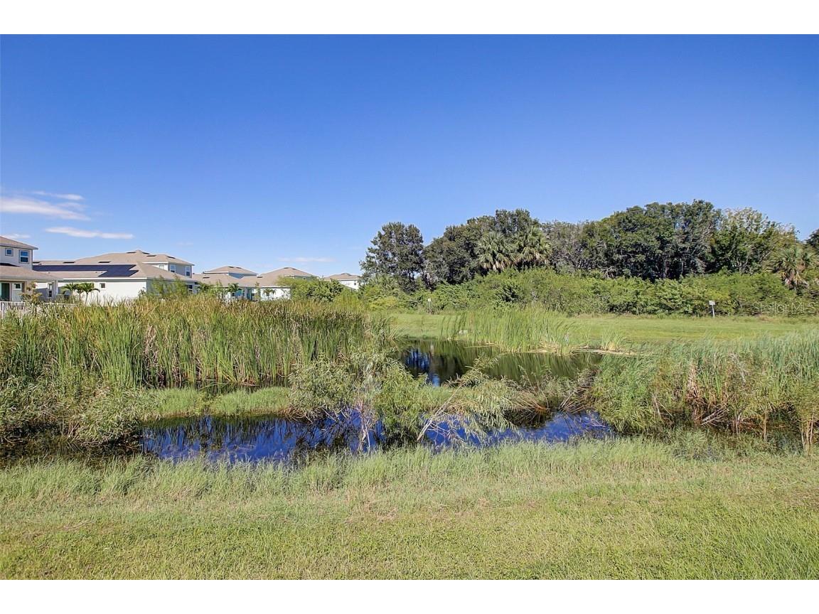 411 Sandsend Court Apollo Beach FL 33572 TB8459794 image40