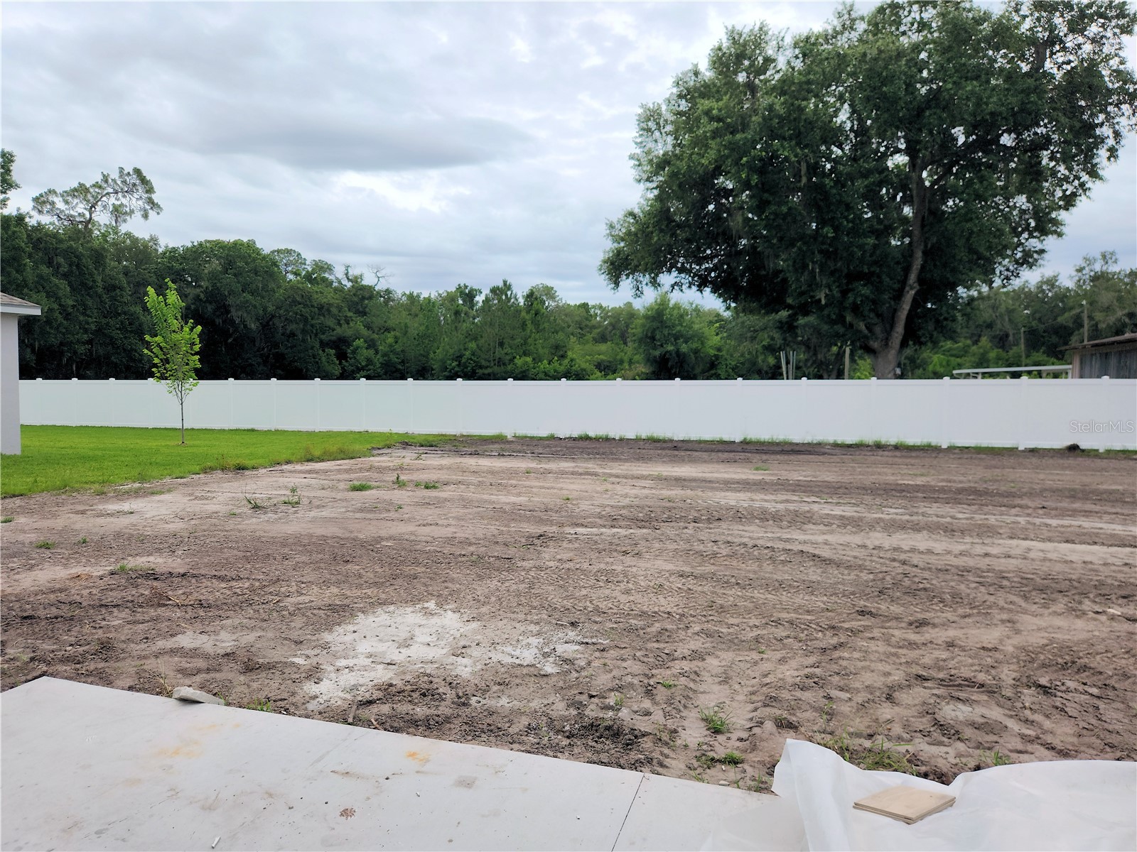 411 Shannon Estates Court Plant City FL 33563 TB8504186 image15