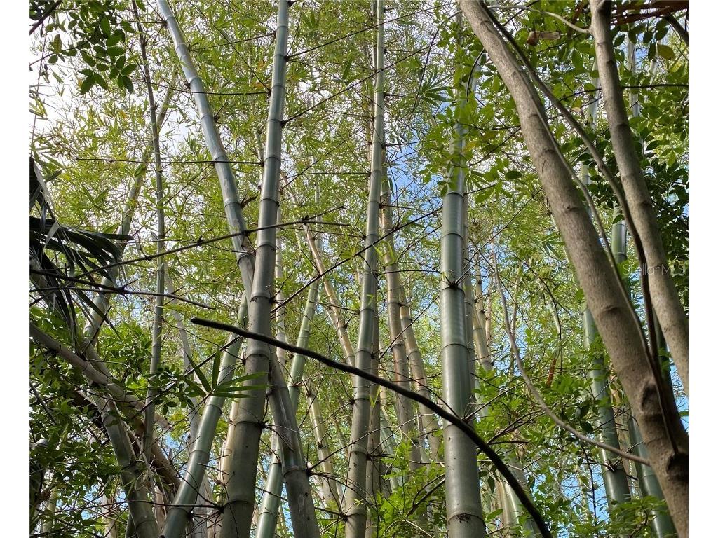 411 Solona Street Punta Gorda FL 33950 TB8376035 image1