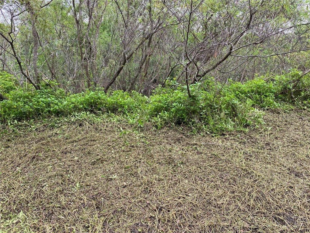 411 Solona Street Punta Gorda FL 33950 TB8376035 image2