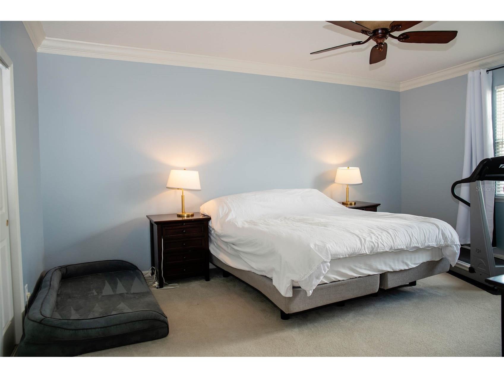 411 Sycamore Street Celebration FL 34747 O6389872 image42