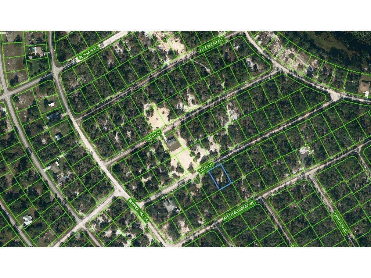 411 Tahiti Lane Lake Placid FL 33852 OM624334 image1