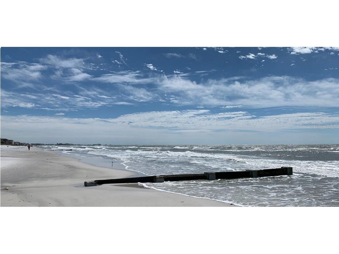 411 Virginia Avenue Madeira Beach FL 33708 TB8351115 image22