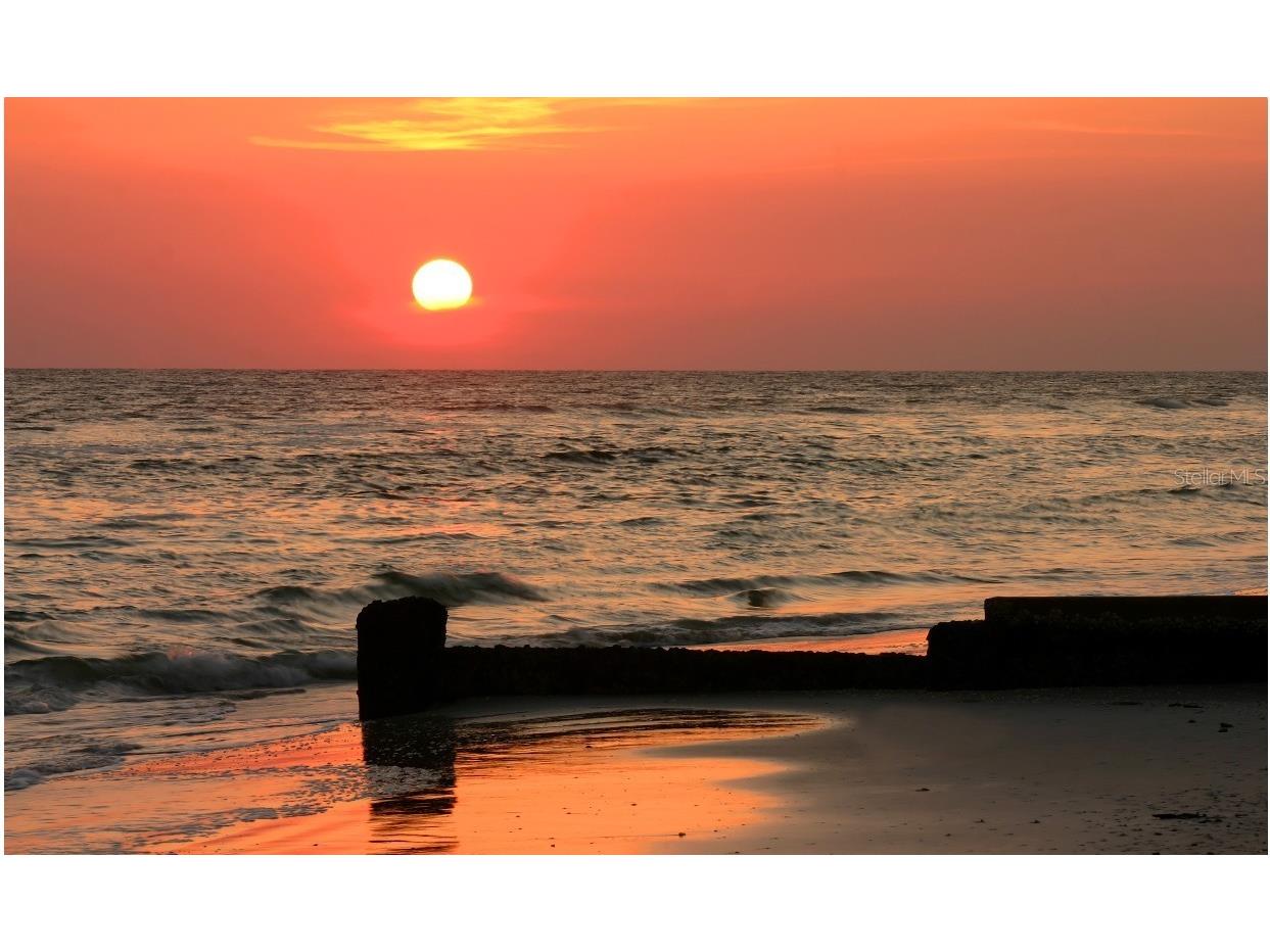 411 Virginia Avenue Madeira Beach FL 33708 TB8351115 image23