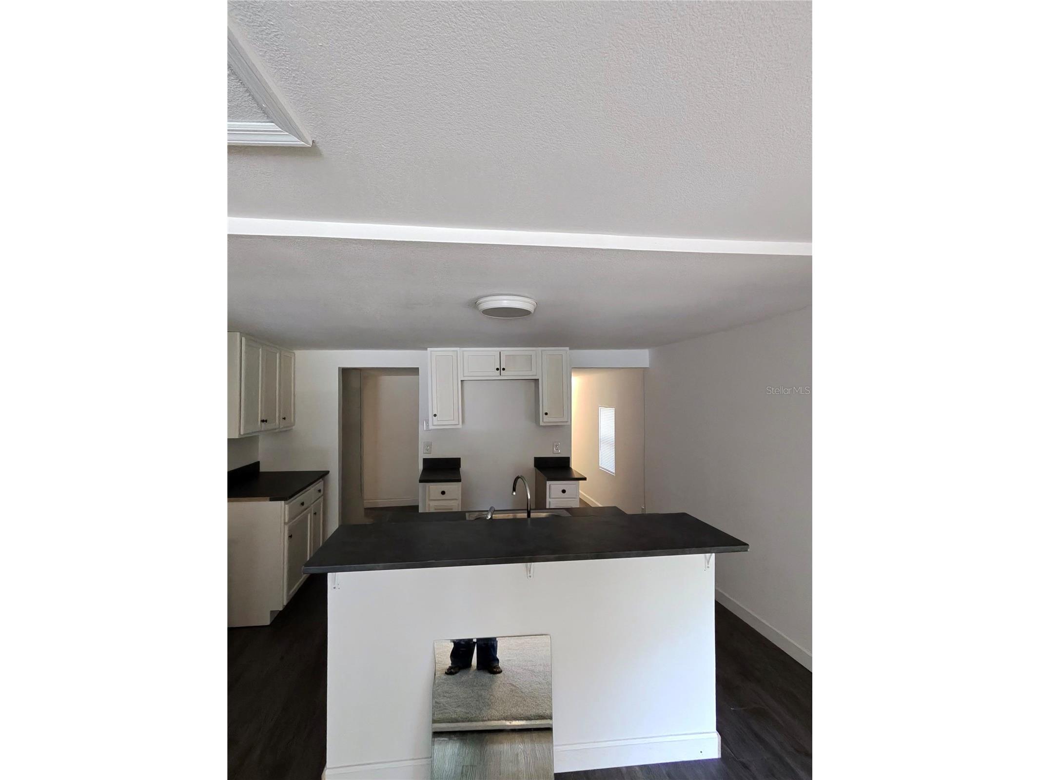 411 W 7th Street Street Lakeland FL 33810 L4961497 image3