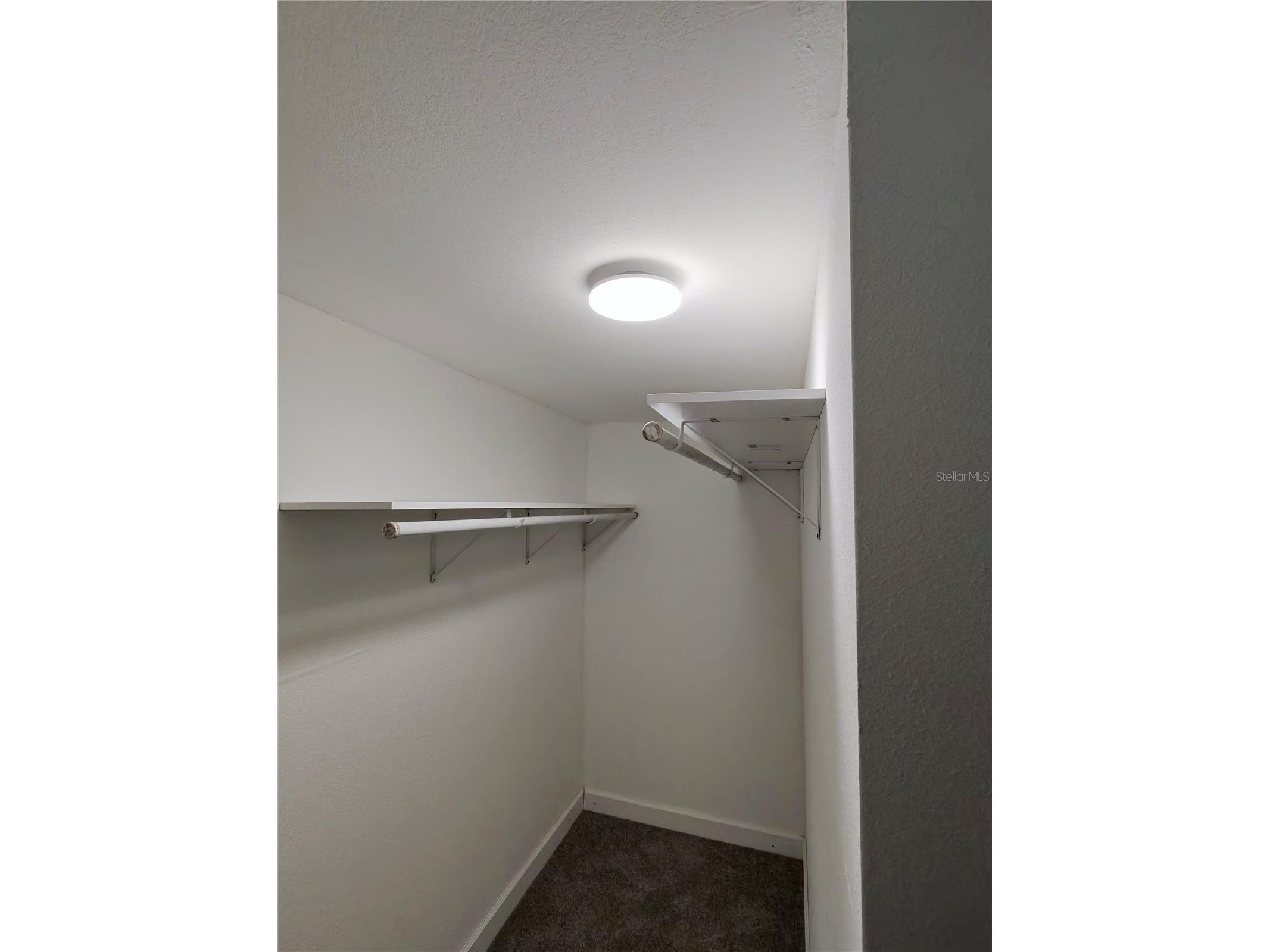 411 W 7th Street Street Lakeland FL 33810 L4961497 image5