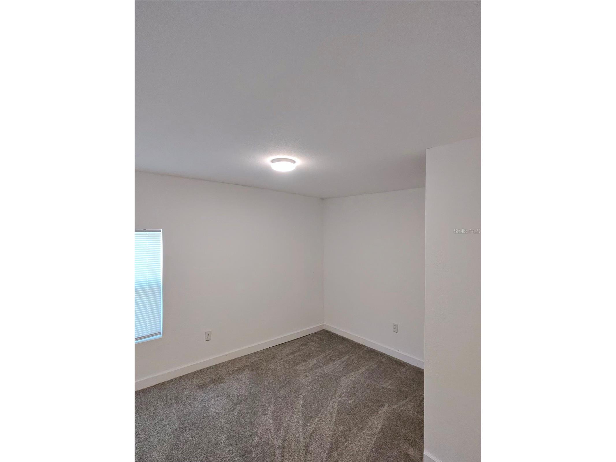 411 W 7th Street Street Lakeland FL 33810 L4961497 image8