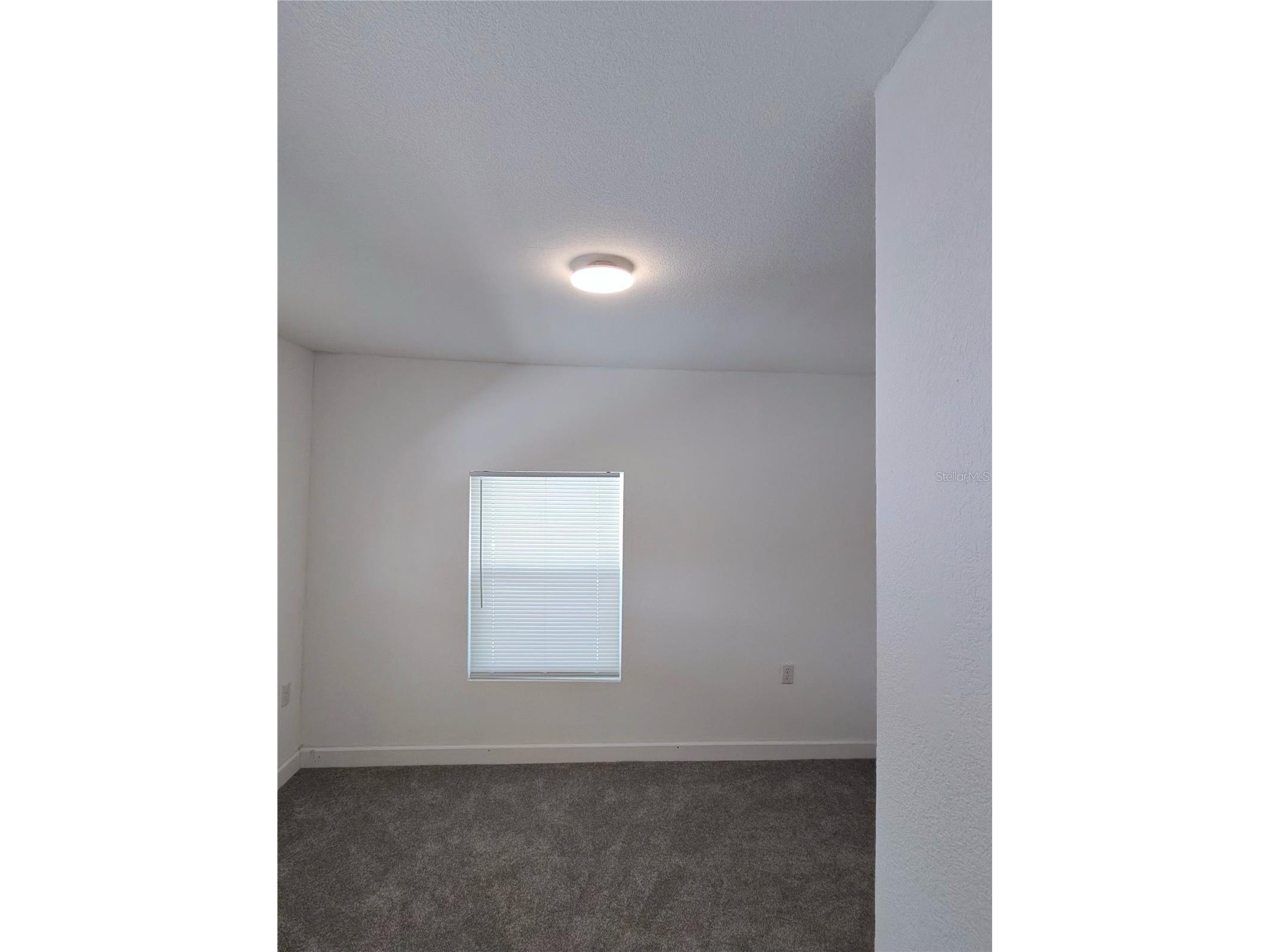 411 W 7th Street Street Lakeland FL 33810 L4961497 image9