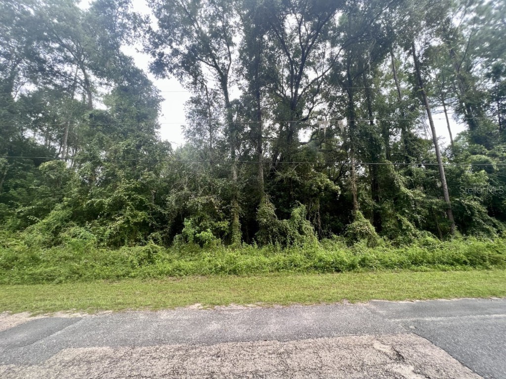 411 W Eridani Citrus Springs FL 34434 C7482818 image1