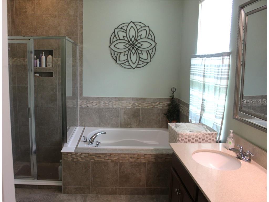 4110 Arlington Ridge Boulevard Leesburg FL 34748 O6287135 image11